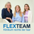 Logo FLEXTEAM